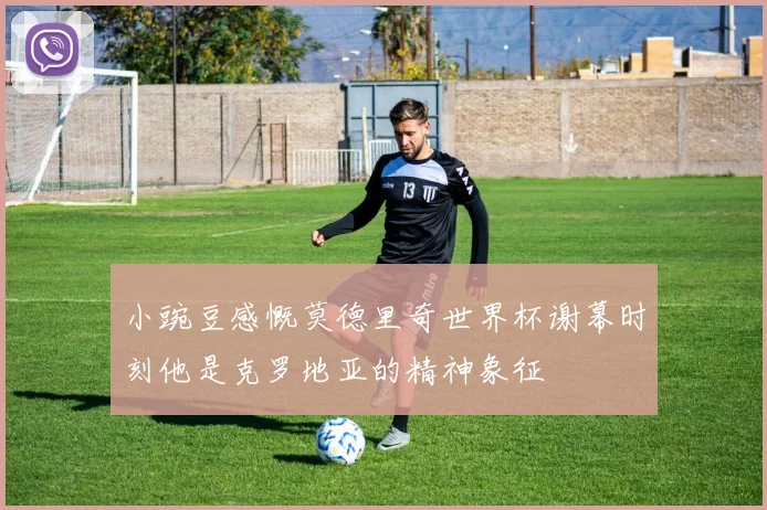 小豌豆感慨莫德里奇世界杯谢幕时刻他是克罗地亚的精神象征